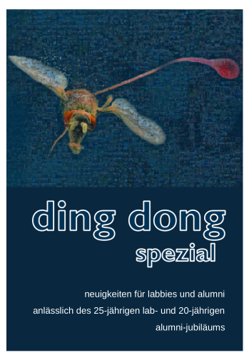 Cover des aktuellen Newsletter dingdong